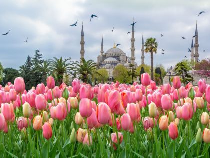 Фестивал на лалетата в Истанбул, Турция с автобус от София - 3 нощувки